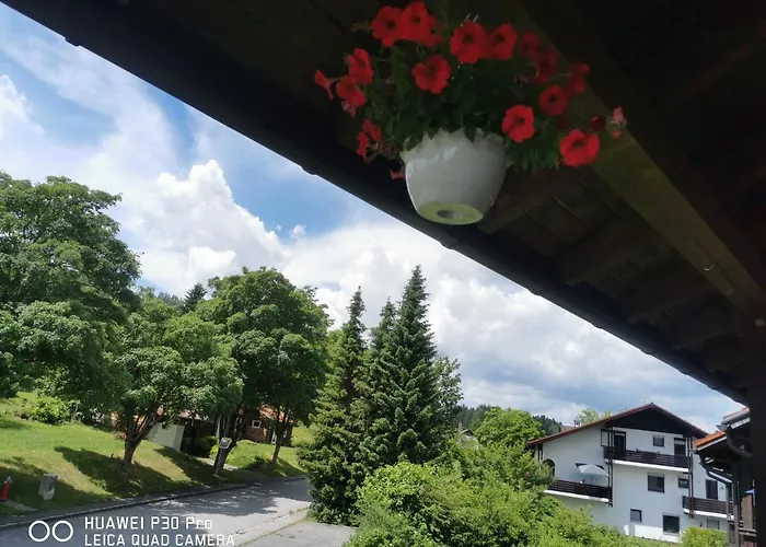 Aparthotel Chrysantihof - Bayerische Wald-Weber